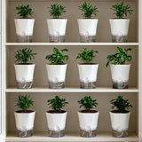 Self-watering plant pot showing the cotton wick watering system